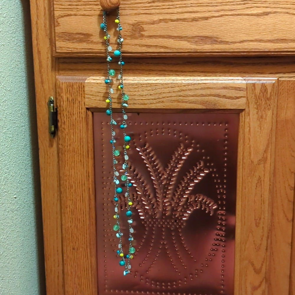 ⭐5/$25-Lia Sophia Long Necklace